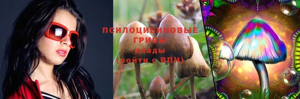 гашик Баксан