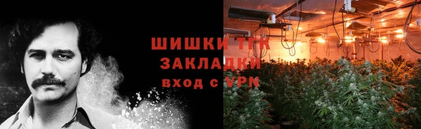 ГАЛЛЮЦИНОГЕННЫЕ ГРИБЫ Балабаново