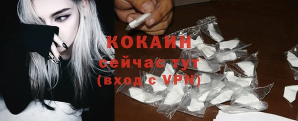 ГАЛЛЮЦИНОГЕННЫЕ ГРИБЫ Балабаново