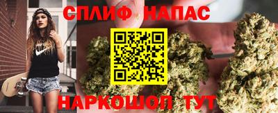 спайс Берёзовский