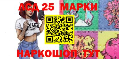 спайс Берёзовский