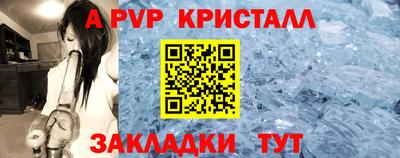 спайс Берёзовский