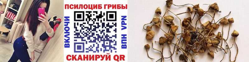 Галлюциногенные грибы Magic Shrooms Борисоглебск
