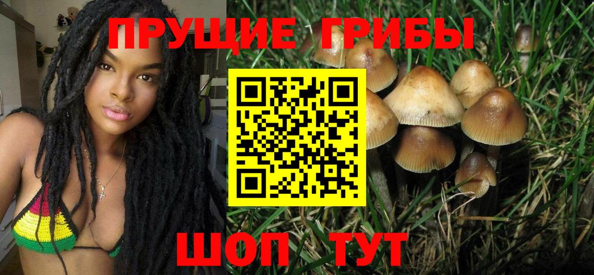 Галлюциногенные грибы мицелий  Галлюциногенные грибы GOLDEN TEACHER  Вход с VPN  Борисоглебск 